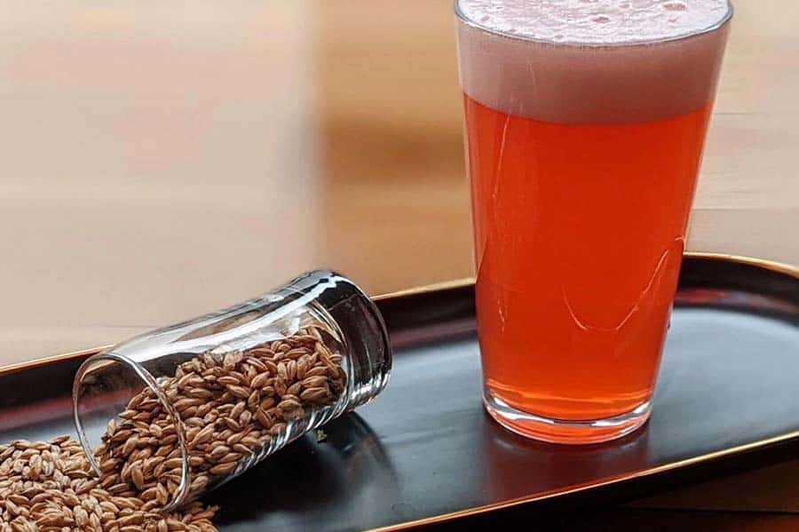 Baggs Square Brewing Company German beer